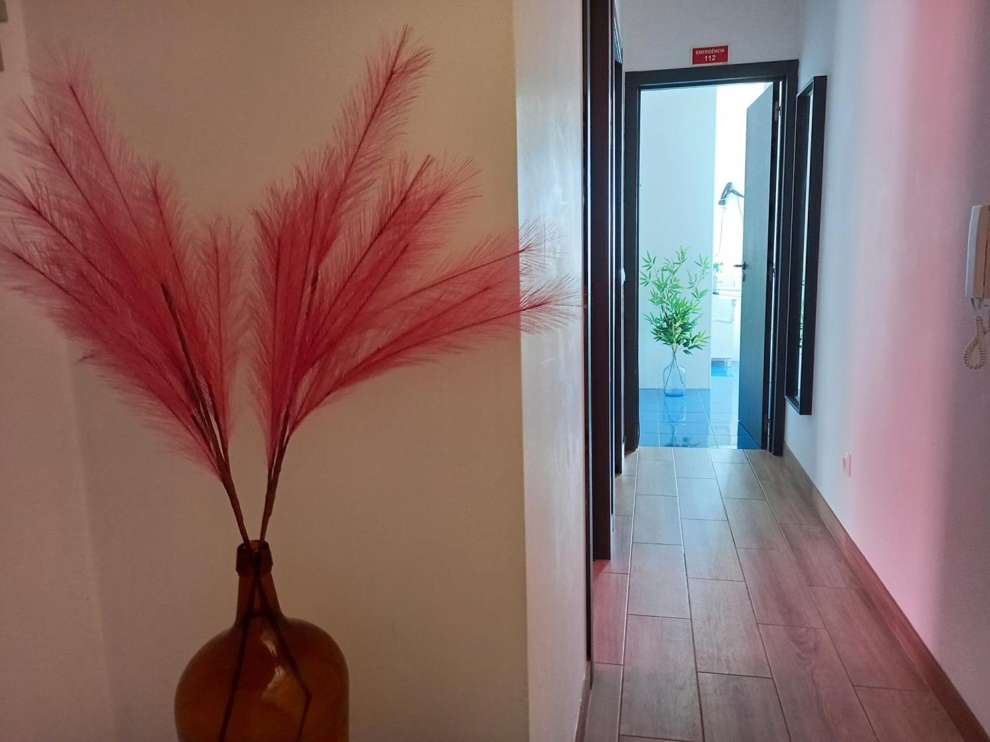 Friendly Apartment